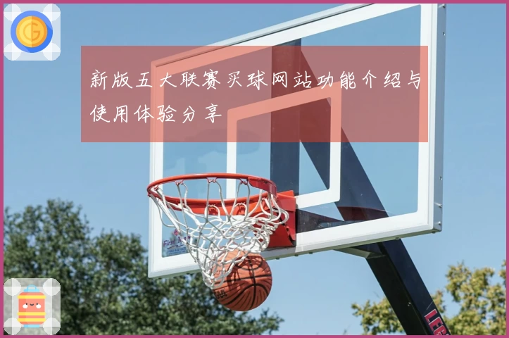 新版五大联赛买球网站功能介绍与使用体验分享
