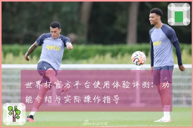 世界杯官方平台使用体验评测：功能介绍与实际操作指导