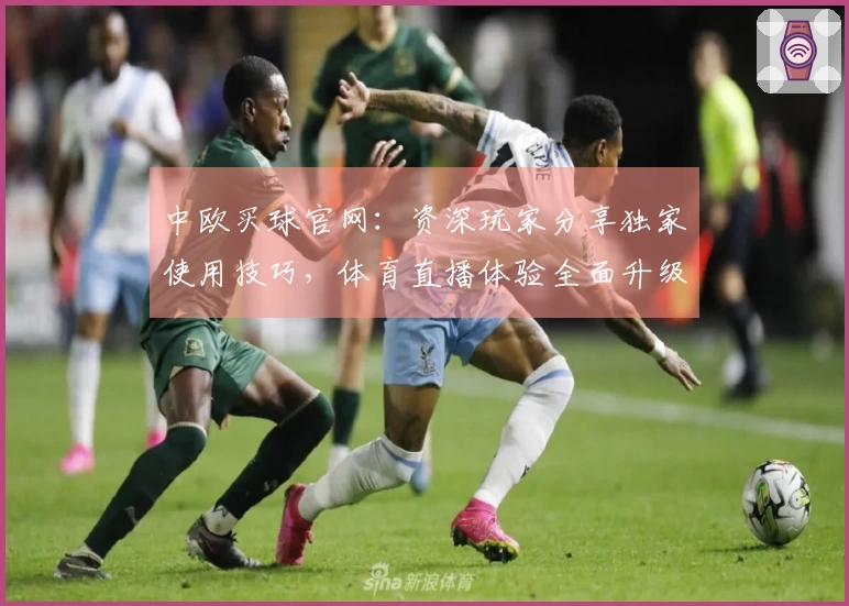 中欧买球官网：资深玩家分享独家使用技巧，体育直播体验全面升级