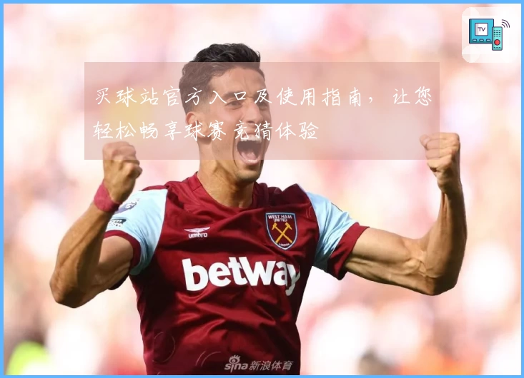 买球站官方入口及使用指南，让您轻松畅享球赛竞猜体验