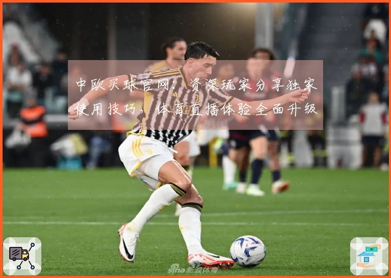 中欧买球官网：资深玩家分享独家使用技巧，体育直播体验全面升级
